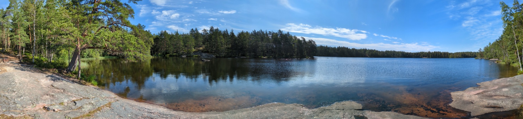 A wide panorama of a deep-blue forest lake under a bright summer sky
