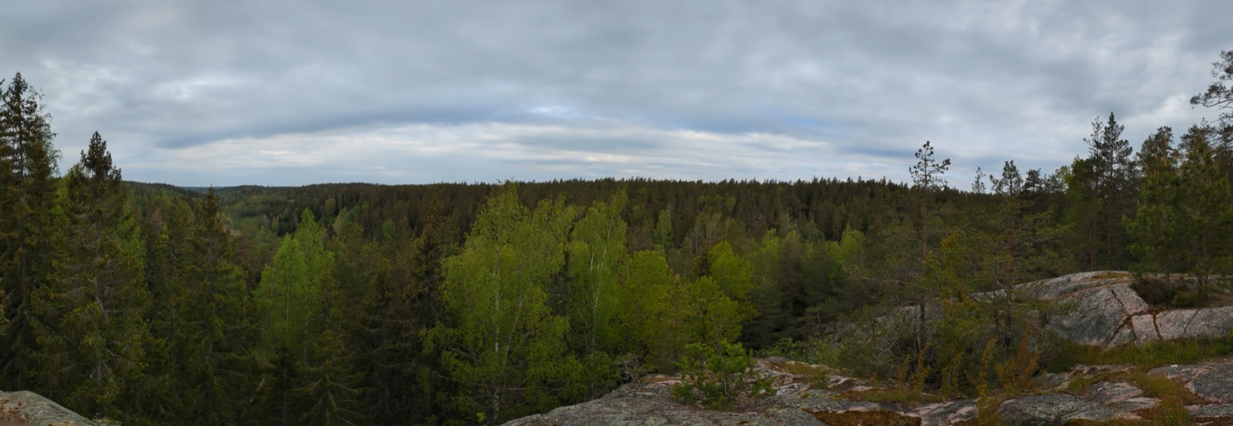 A sweeping panorama over endless treetops from a rocky ridge