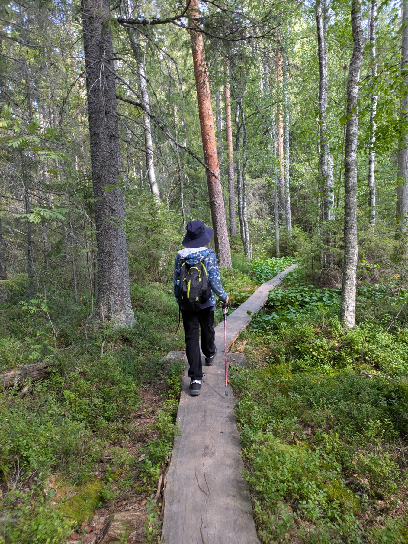 A hiker with a backpack and pole walking a boardwalk through the forest