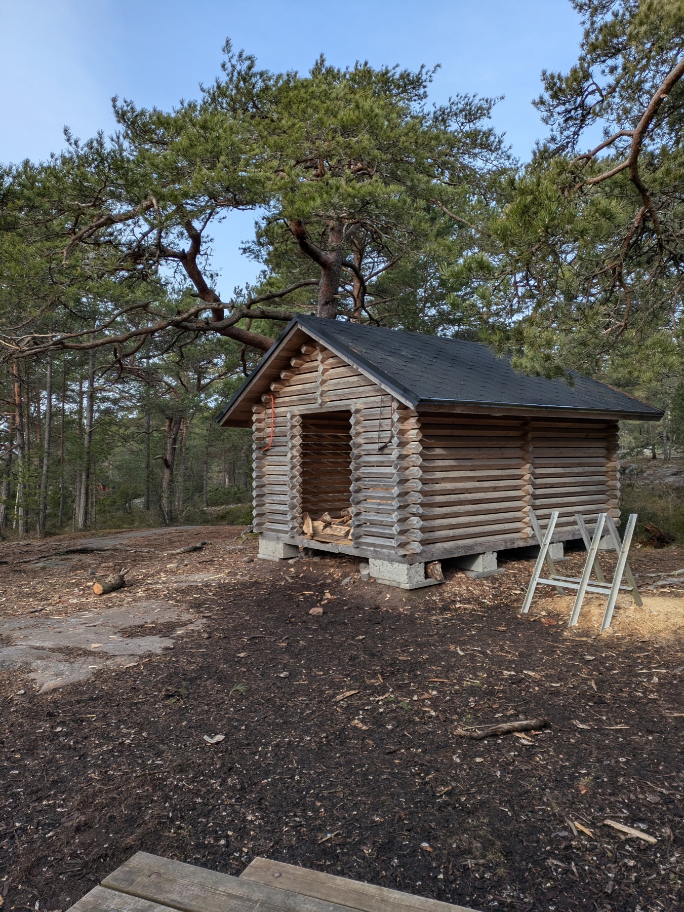 A timber lean-to shelter among the pines at a rest spot