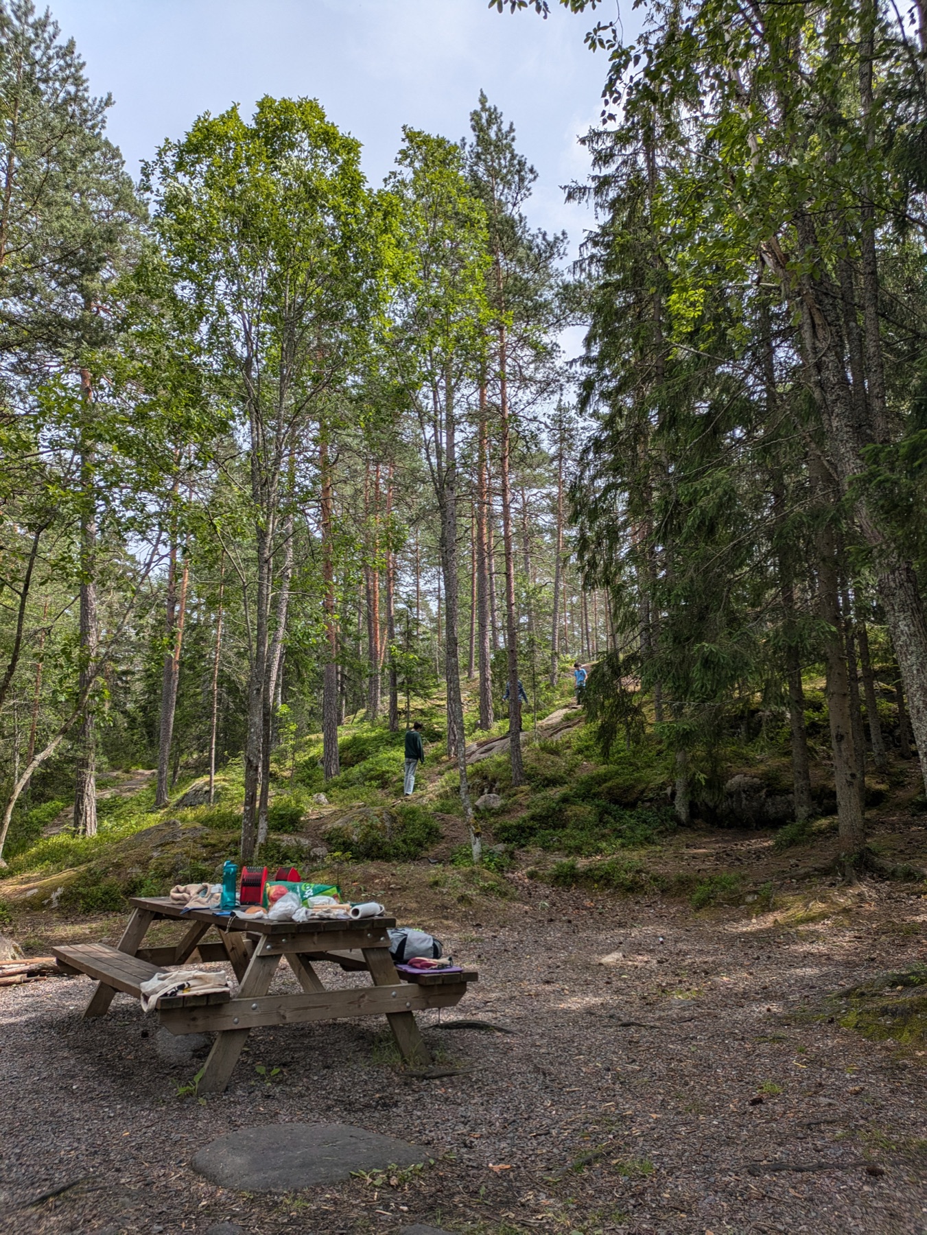 A picnic table with supplies at a forest rest spot as walkers explore a mossy slope