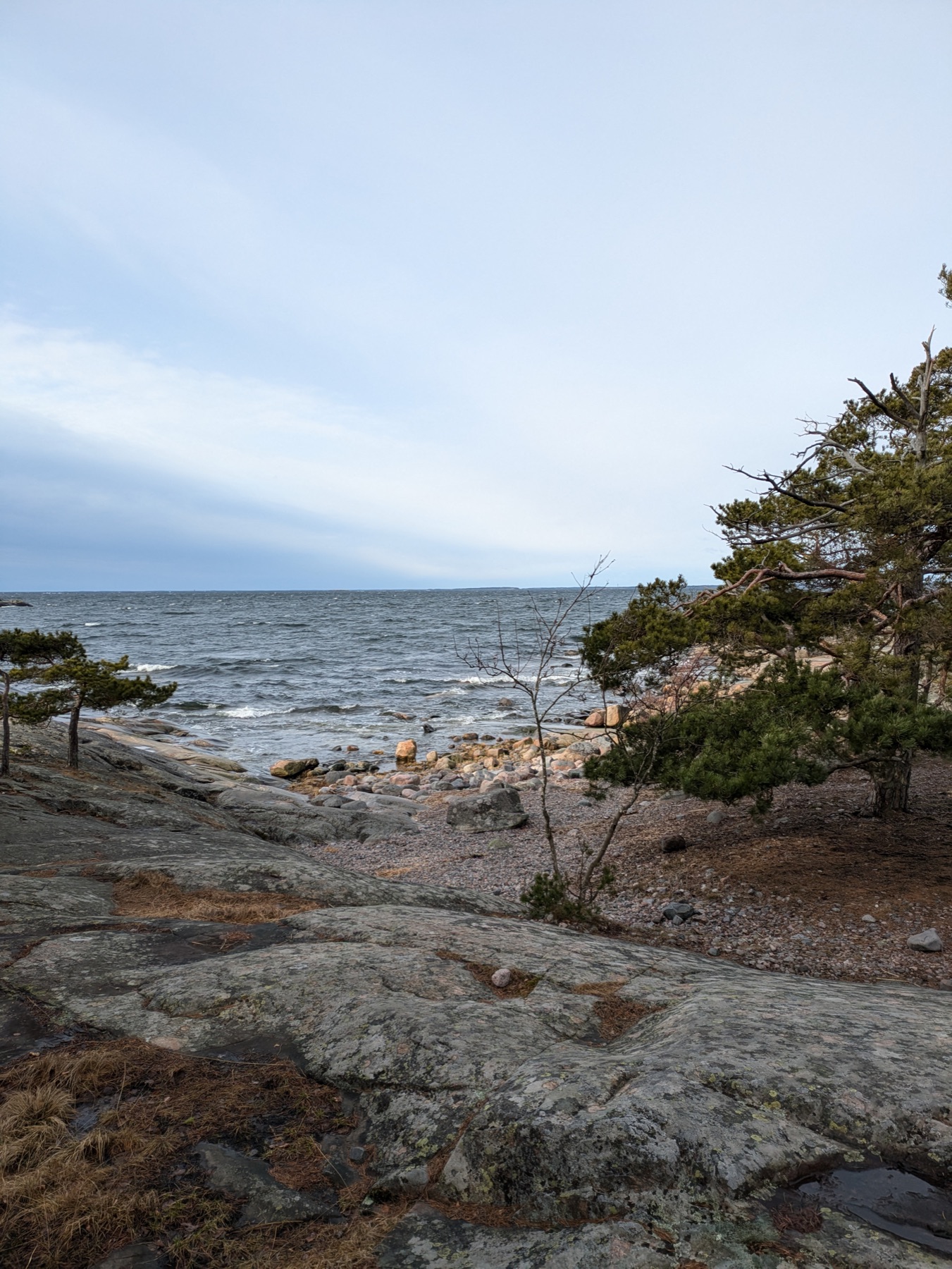 Waves meeting the smooth rocks and pines of the Baltic coast