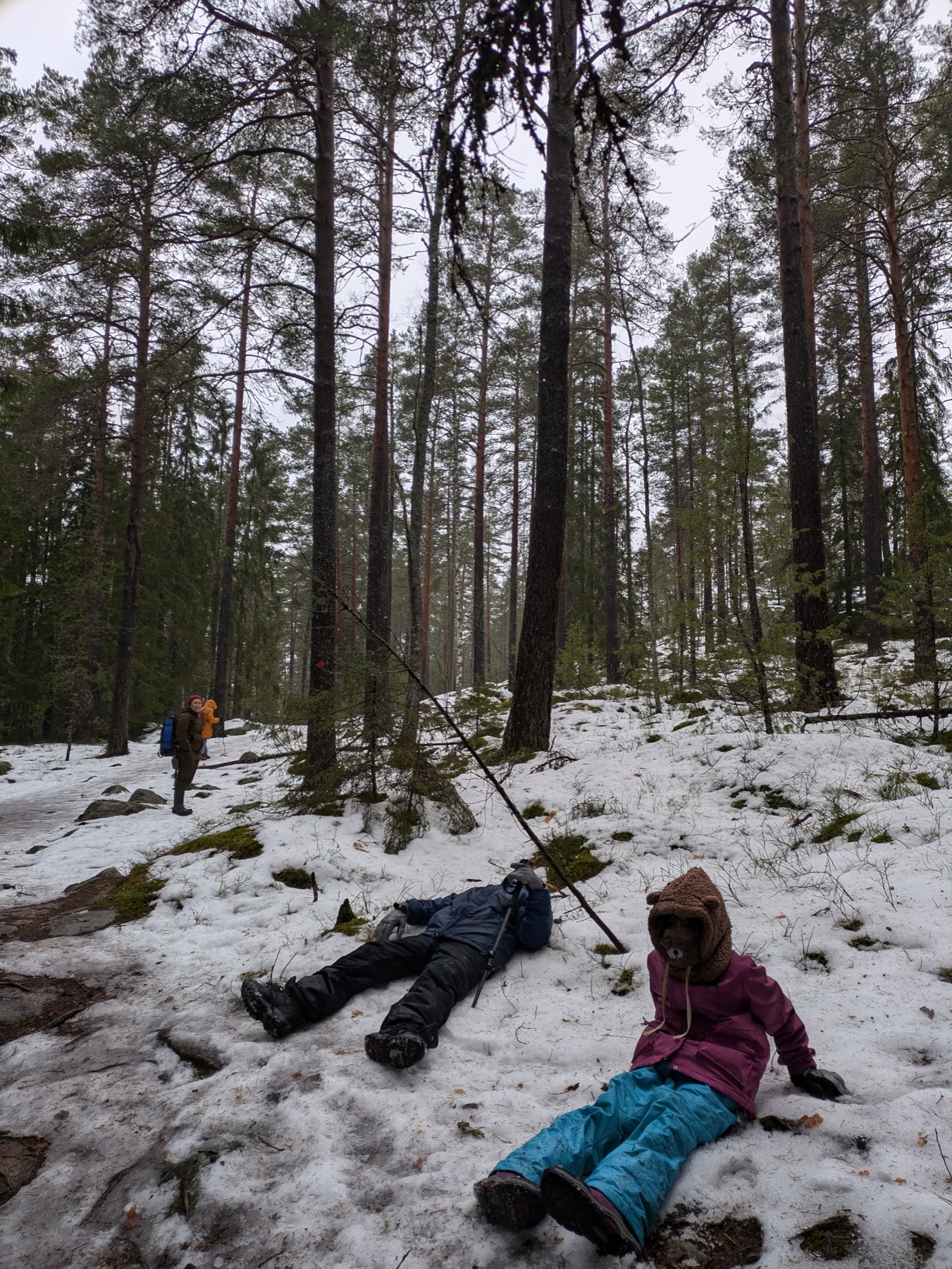 Walkers resting in the snow among tall pines on a winter forest outing