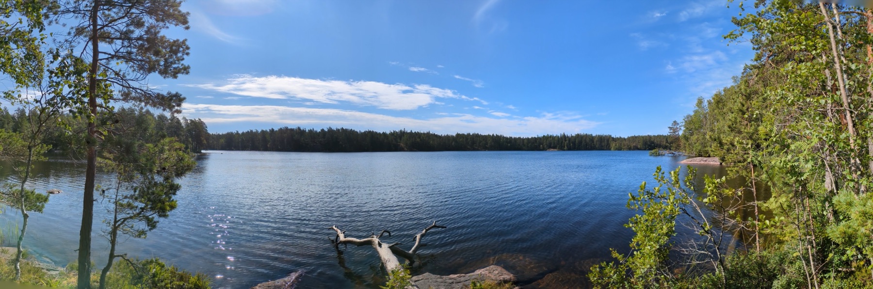 A broad panorama of a tranquil lake ringed by summer forest