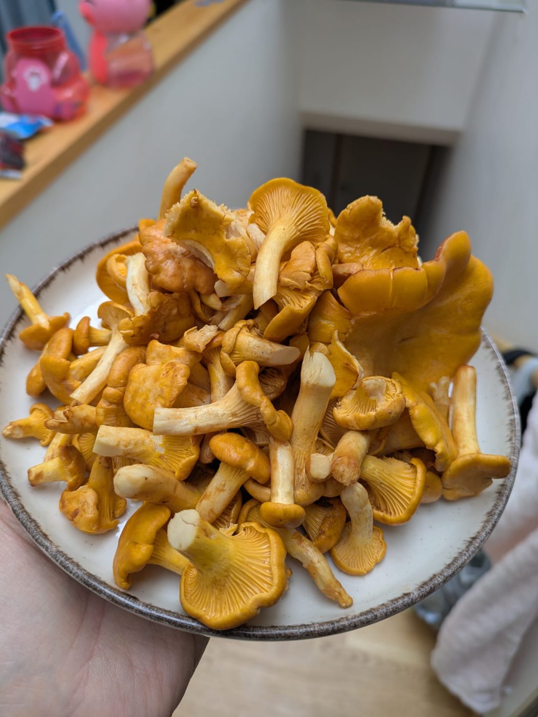 A plate piled with cleaned golden chanterelles